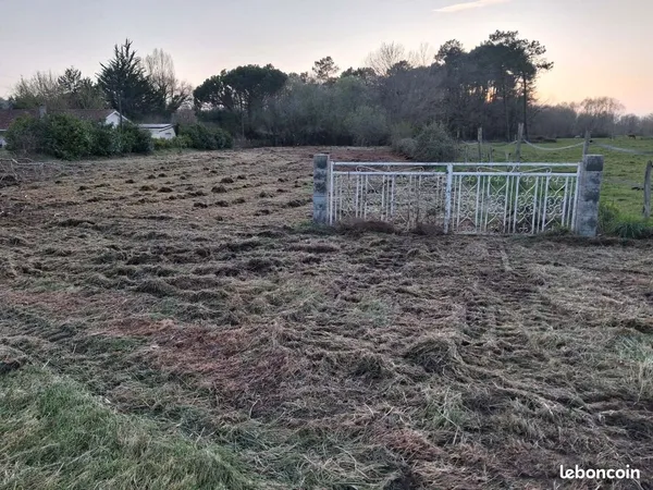 Terrain agricole