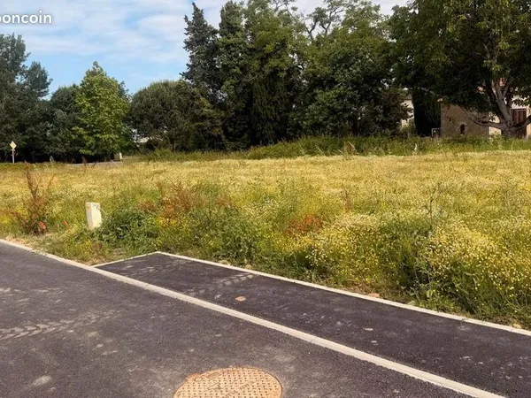 Terrain - Coulet - Jangarron