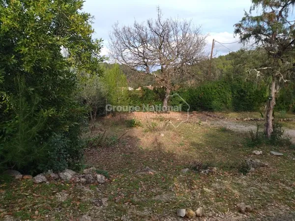 Terrain en individuel 532 m²