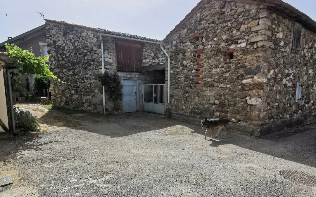Photo 1
