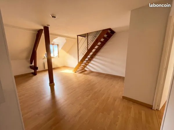 Grand T2 (+ mezzanine) rénové au centre ville Montbéliard - Colocation possible