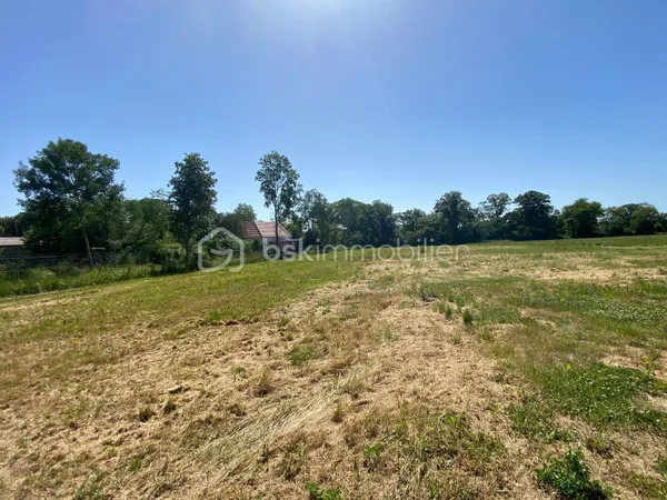 Terrain 3211 m²