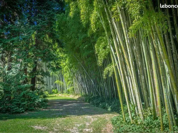🌿 Terrain de loisirs exceptionnel de 5 000 m² - Un havre de paix au bord de l'eau, aux portes d'Albi