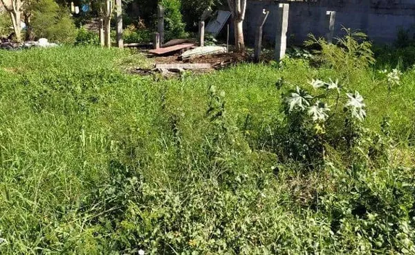 Terrain 350 m²