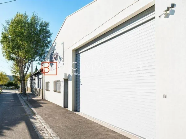 Local d'activité 386 m²