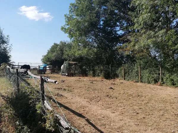 Location Terrain de loisir, chevaux 3500 m2