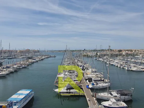 BIEN RARE ! Duplex Centre port