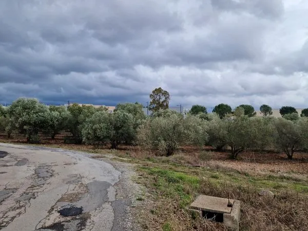 Terrains agricole