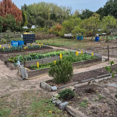 Location terrain pour potager