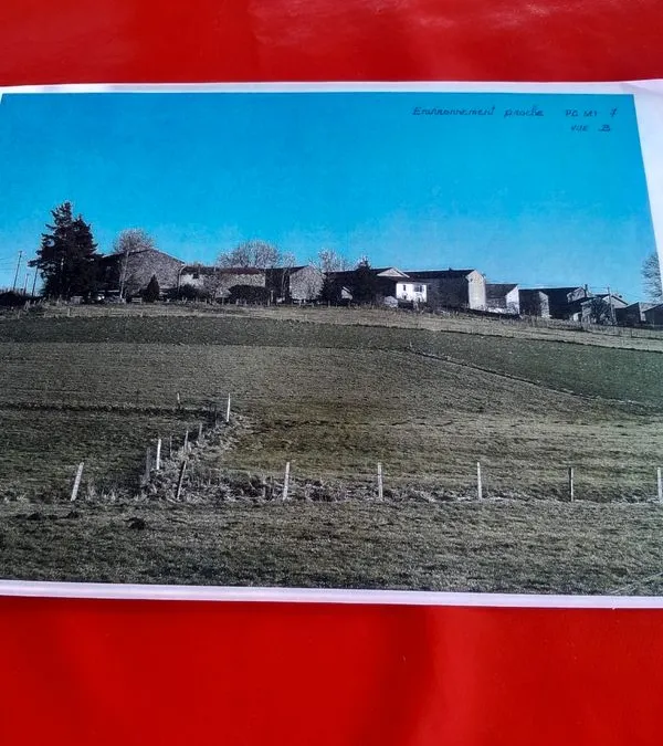 Photo 2