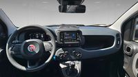 Fiat Panda Classic 1.0 70ch BSG S&S Icône Step 2 — photo 8