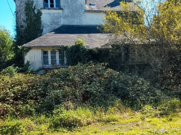 Maison , local commercial