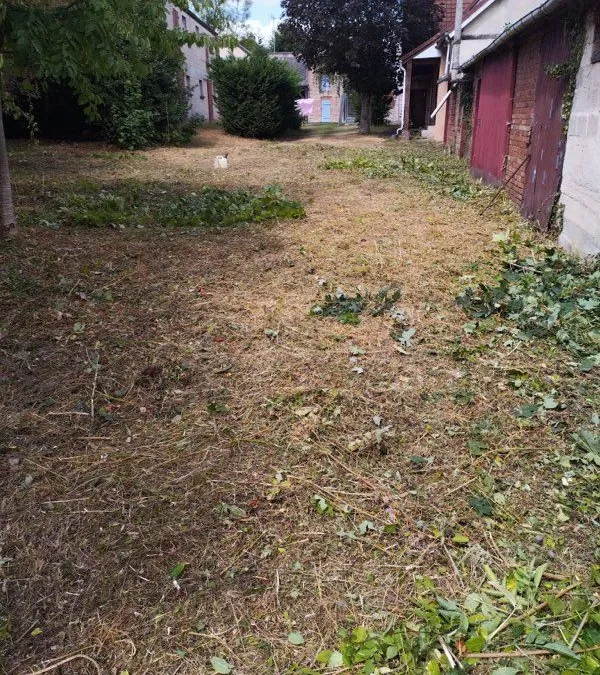 Photo 3