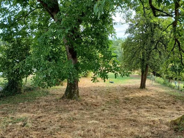 Terrain à bâtir