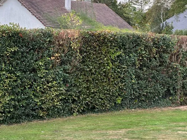 Terrain à bâtir 420M2