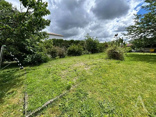 Terrain 445 m²