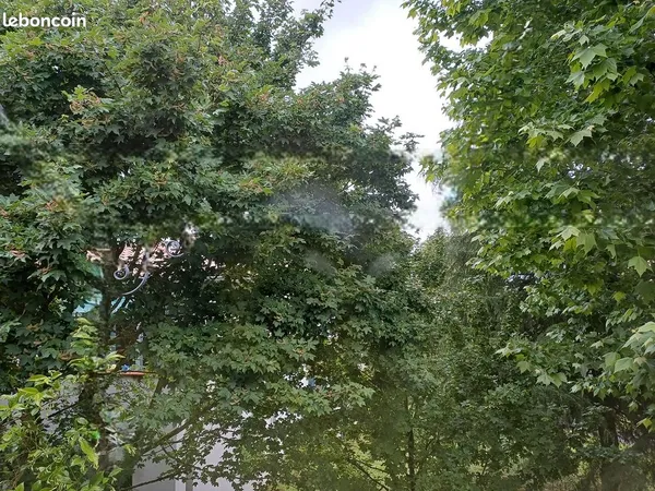 Appartement tout rénové dans parc arboré