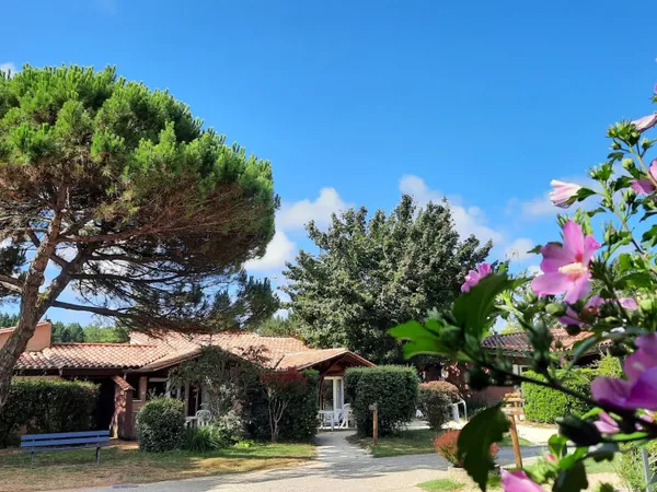 Hôtellerie et restauration Vente Agen 3135000€