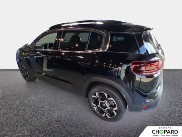 Citroën C5 Aircross bluehdi 130 eat8 — photo 24