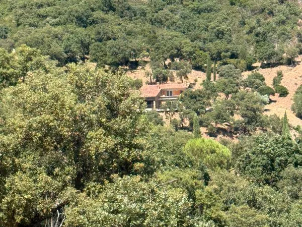 Terrain en zone naturelle la garde freinet limite grimaud