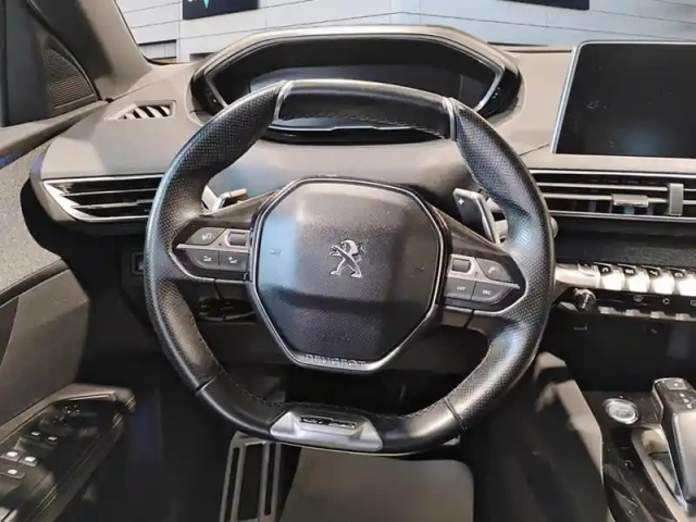 Peugeot 3008 1.6 bluehdi 120ch s&amp;s eat6 gt line — photo 12