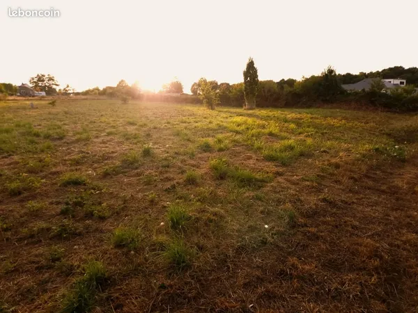 Terrain constructible viabilisé de 2 500 m² - centre-bourg de Réminiac
