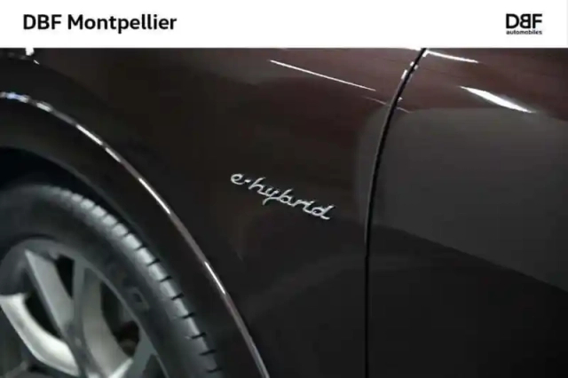 Porsche Cayenne e-hybrid 3.0 v6 462 ch tiptronic bva platinum edition — photo 10
