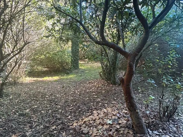 Terrain à bâtir 439m2