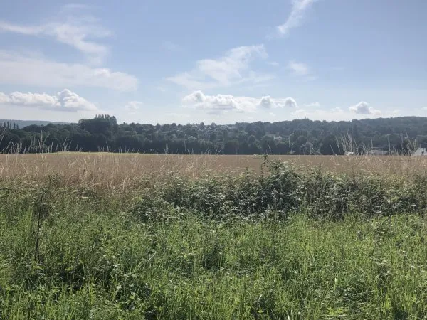 Terrain 2330 m²