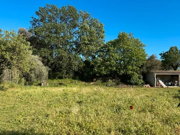 Terrain 584 m²