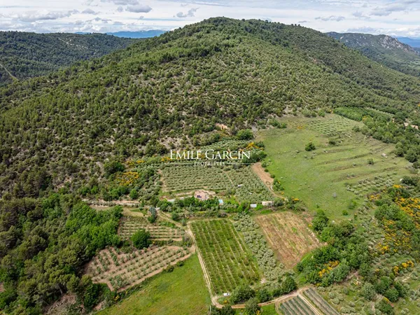 A vendre - propriété sur 9 hectares - Manosque - avec 700 pieds d'oliviers