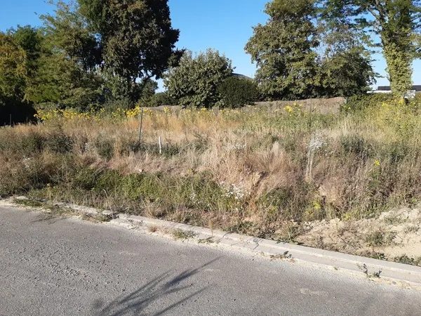 Terrain 441 m²