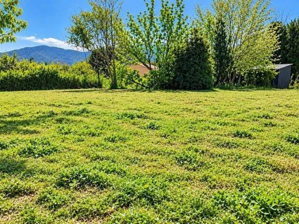 Terrain 489 m²