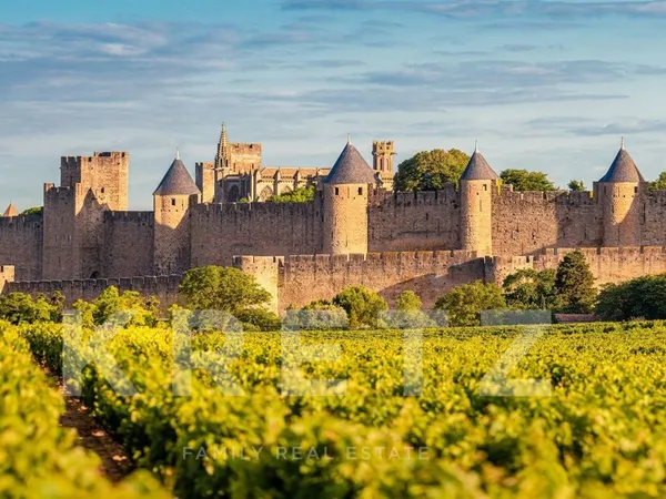 Immeuble de rapport d'exception en coeur historique de Carcassonne - 500+ m² déployés pour un rendem