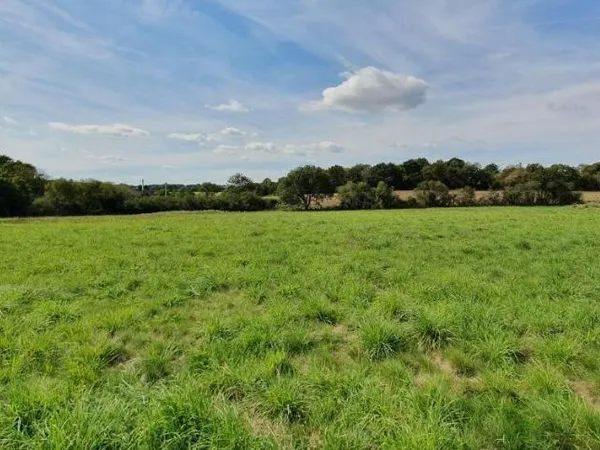 Terrain 1916 m²