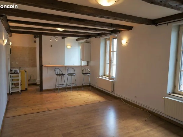 NANCY vieille ville, F2 45 m², poutres, parquets - Rénové
