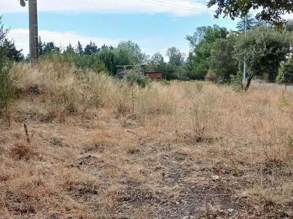 Terrain location agricole
