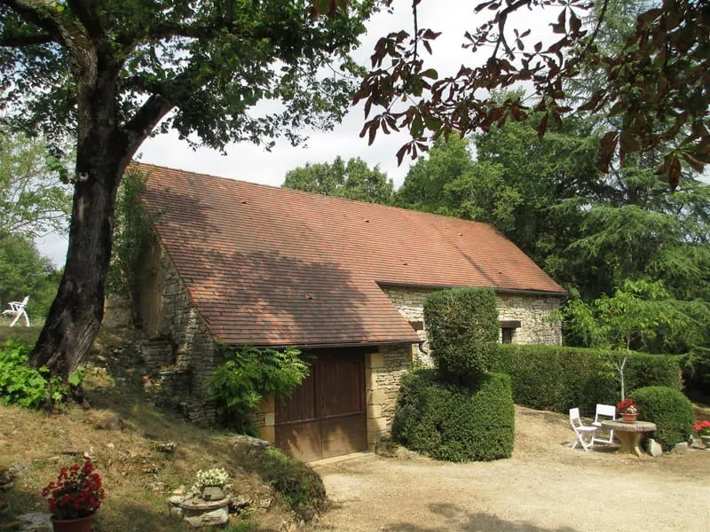 Photo 15