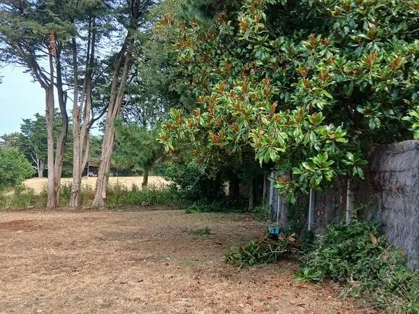 Vente terrain viabilisé