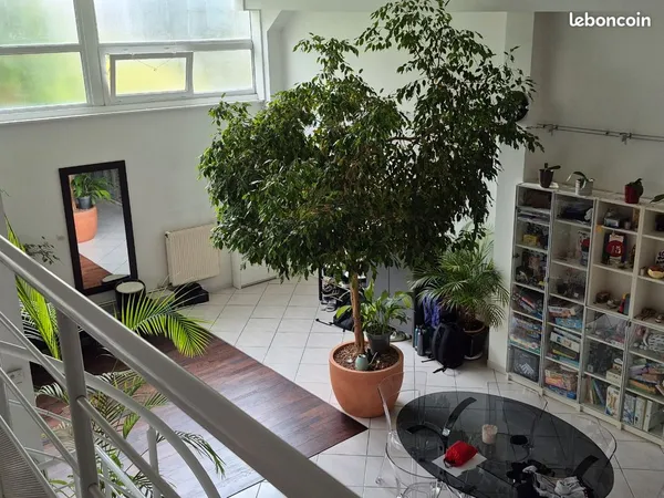 Loft quartier wilson/turgot