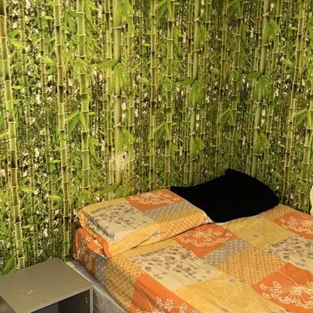 Colocation à Nanterre