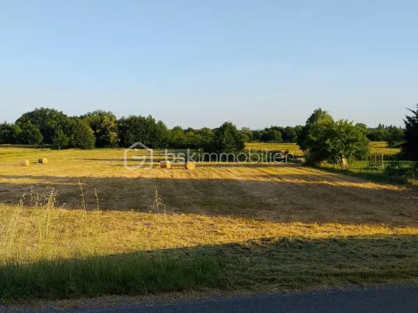 Terrain 5990 m²