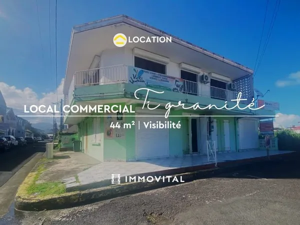 LOCAL COMMERCIAL À LOUER - 44 m2 IDÉAL POUR PROFESSIONNELS