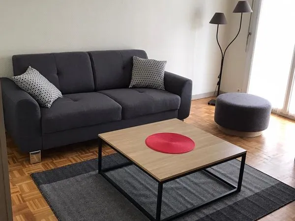 A louer appartement meuble centre ville angers