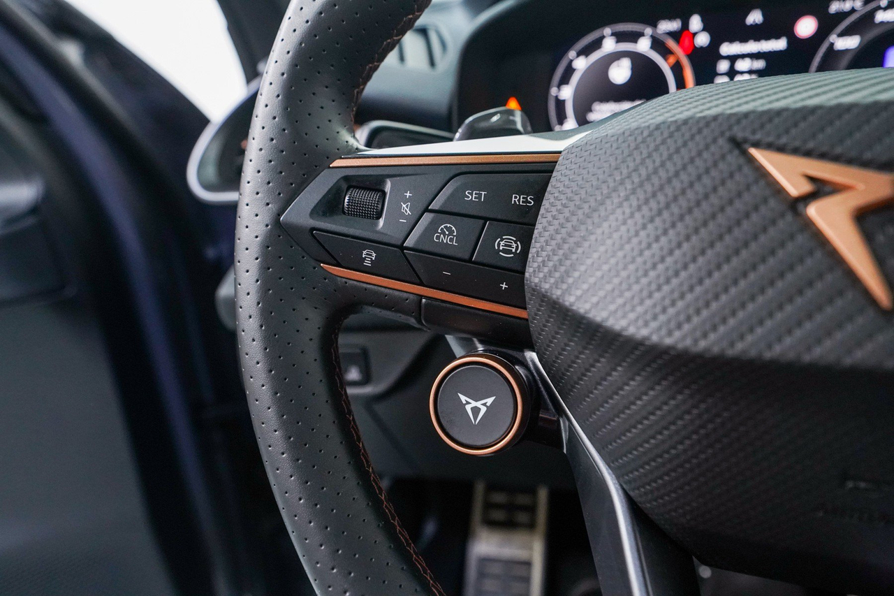 Cupra Terramar — photo 22