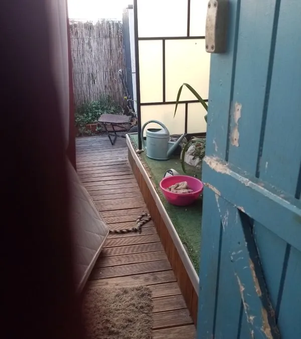 Photo 1