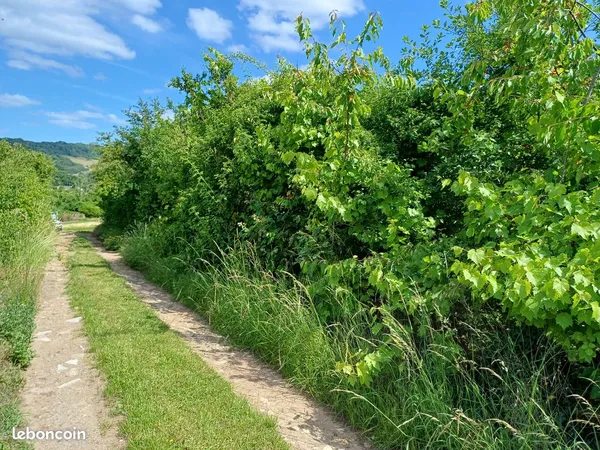 Beau terrain de loisirs plat et clôturé
