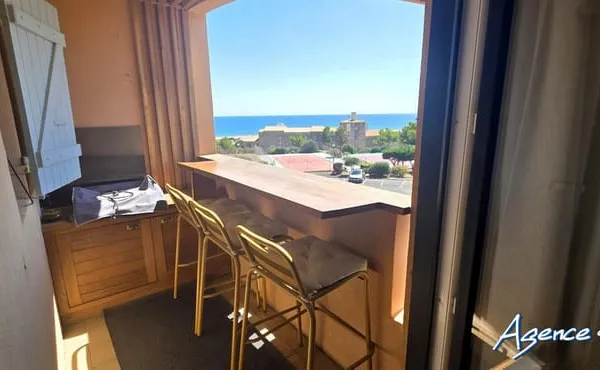 SUPERBE APPARTEMENT ENTIEMENT RENOVE
