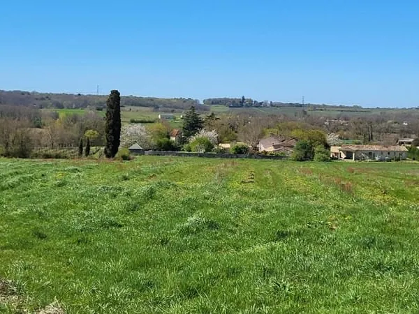 33220 proche Pineuilh Terrain pour reboisement d'une superficie de 6ha 37 avec contrat