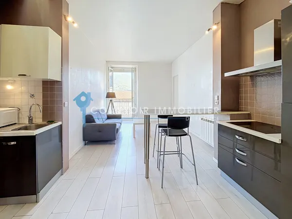 Isère (38) - A Vendre GRENOBLE - Appartement Duplex T2 49m2